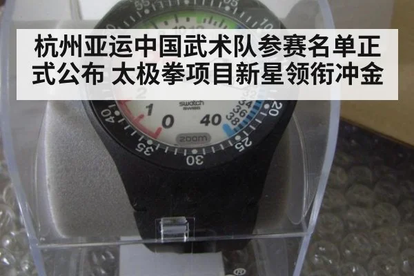 杭州亚运中国武术队参赛名单正式公布 太极拳项目新星领衔冲金